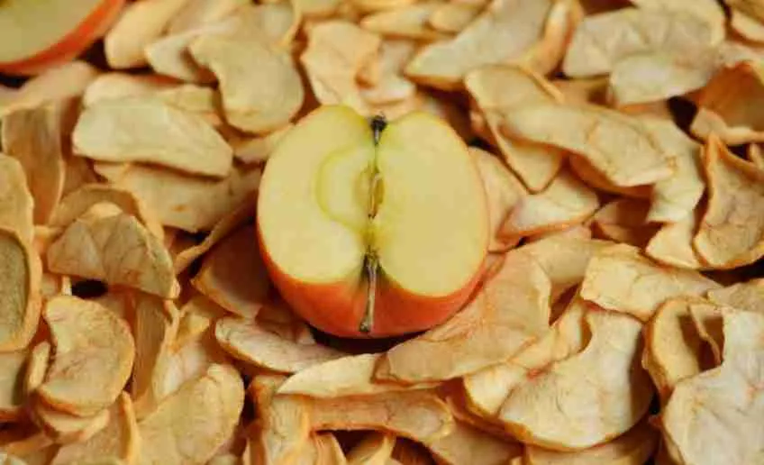 slices of dried apples for guinea pigs