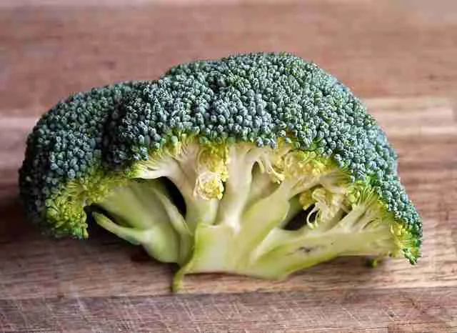 Photo of broccoli top as a food for guinea pigs