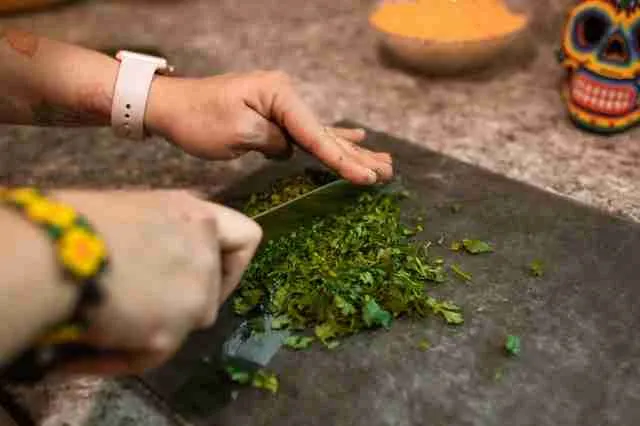 A picture showing chopping of cilantro leaves for guinea pigs