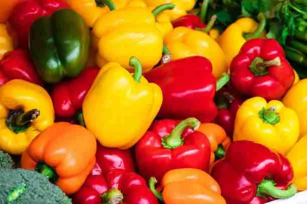 Bell Peppers - Healthy Veggies for Guinea Pigs