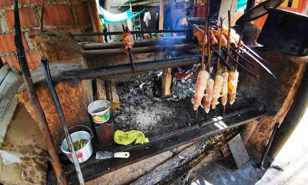 Roasting Guinea Pigs as a food source