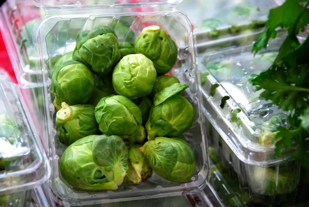 A picture showing fresh brussel sprouts for guinea pigs
