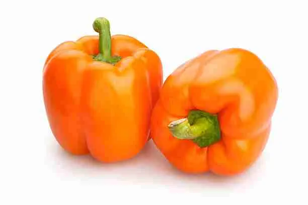 Orange Bell Peppers - Food for Guinea Pigs