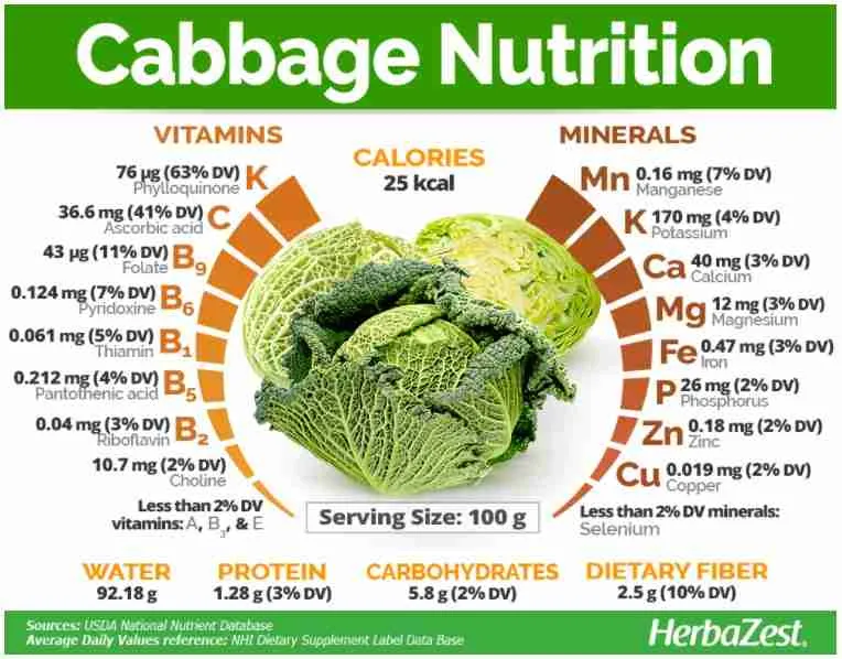 benefits that guinea pigs can get from cabbage