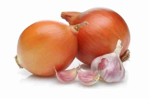 Onion and Garlic - Poisonous Foods for guinea pigs