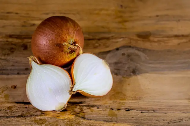 A picture of onions as an allergic food for guinea pigs