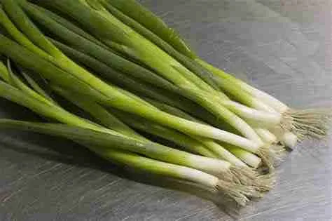 A picture of spring onion tops as a food for guinea pigs