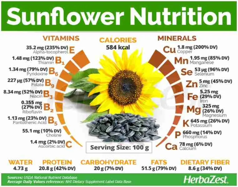 sunflower nutrition