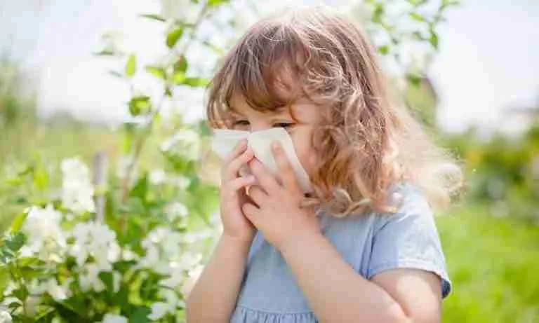 Can Guinea Pigs Cause Asthma Blog
