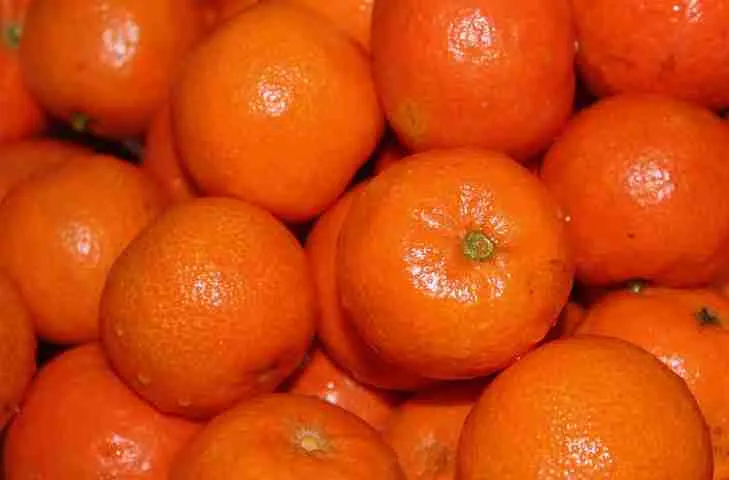 Tangerines - Healthy Benefits of Guinea Pigs