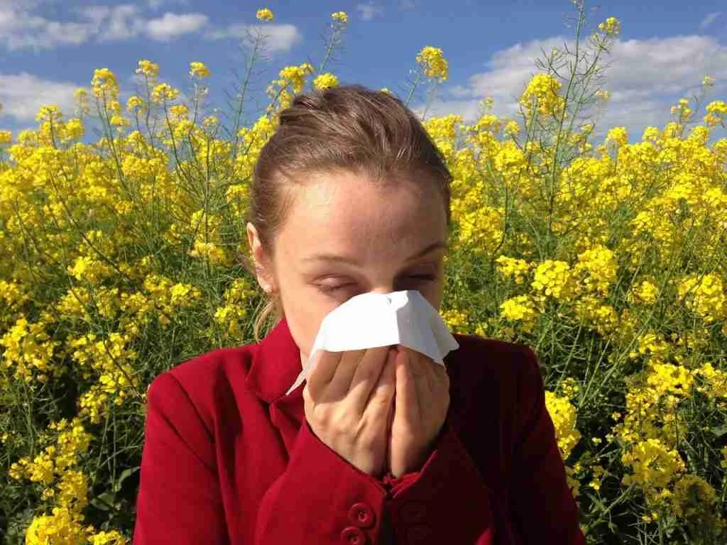 A lady sneezing as a result of allergic reactions