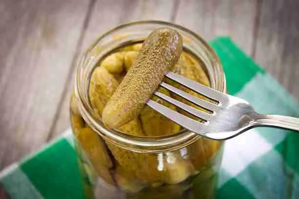 Pickles - Not Safe for Guinea Pigs to Eat