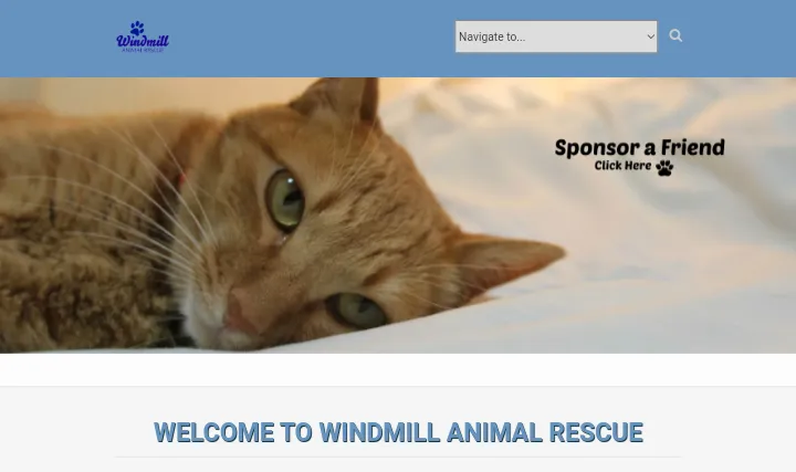 Windmill Animal Rescue & Wildlife Rehabilitation - A Guinea Pig Rescue Center in Minnesota