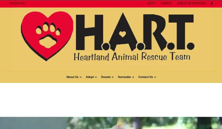 Heartland Animal Rescue Team - A Guinea Pig Rescue Center in Minnesota