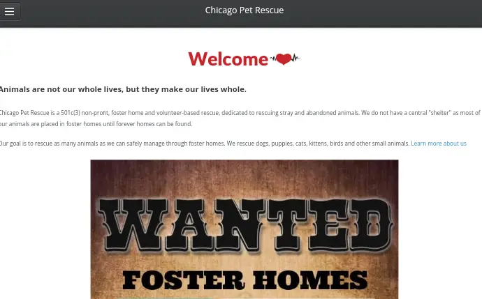 Chicago Pet Rescue - A Guinea Pig Rescue Center in Chicago