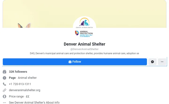Denver Animal Shelter - A Guinea Pig Rescue Center in Colorado