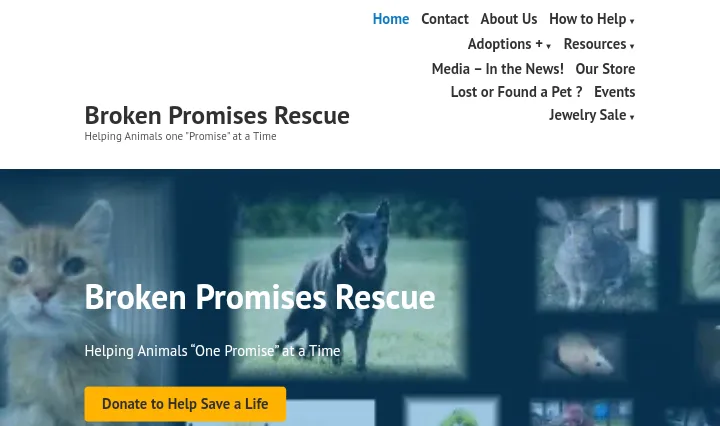 Broken Promises Rescue - A Guinea Pig Rescue Center in Victoria (Canada)