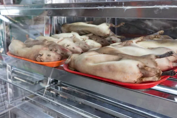 Guinea Pig Meat (Cuy) in a Butchery - Andean Delicacy