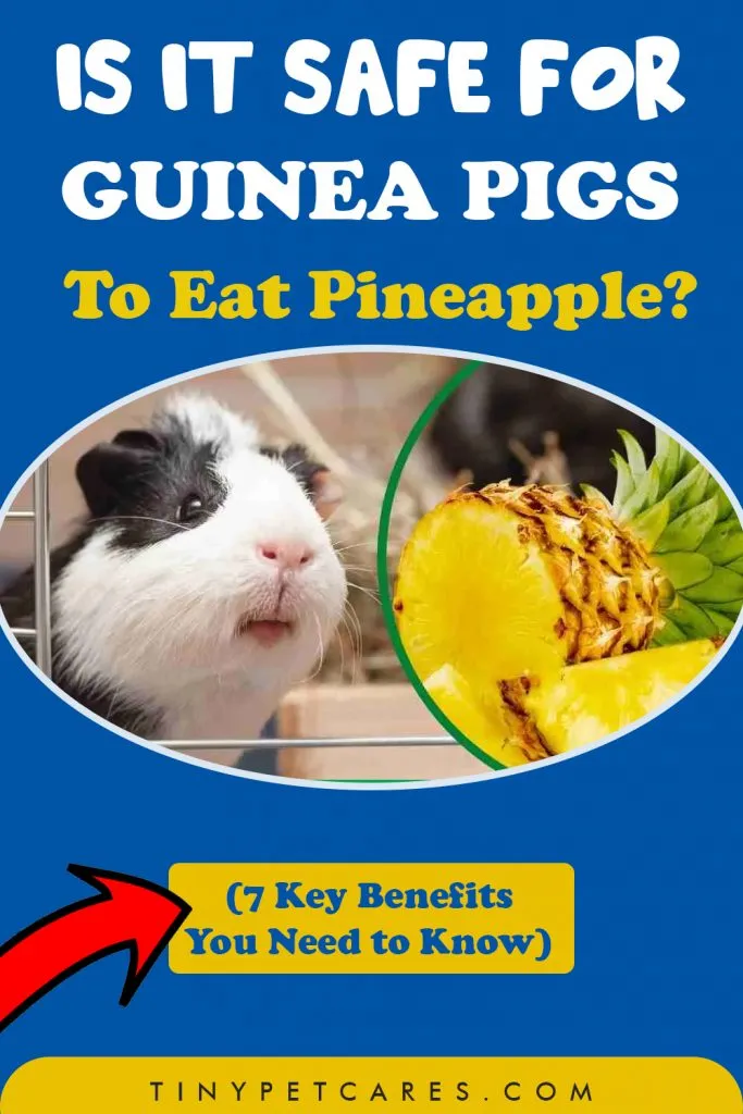 Is It Safe For Guinea Pigs To Eat Pineapple Pinterest Pin