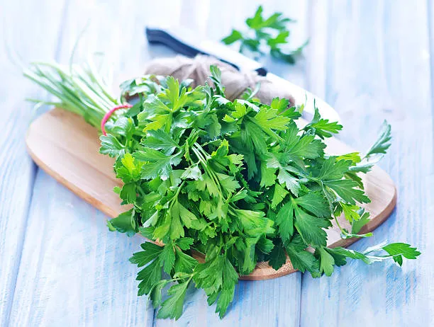 Parsley - A Vitamin C-Rich Vegetable for Guinea Pigs 