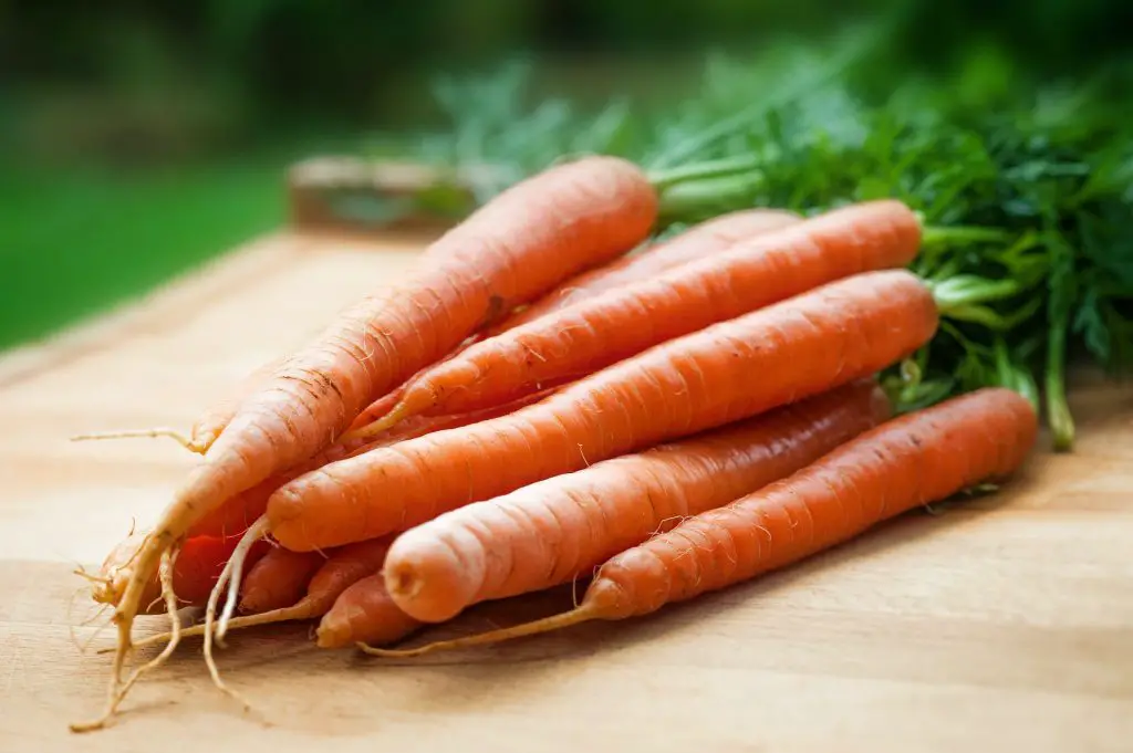 A picture of carrots as vegetables guinea pigs can eat daily