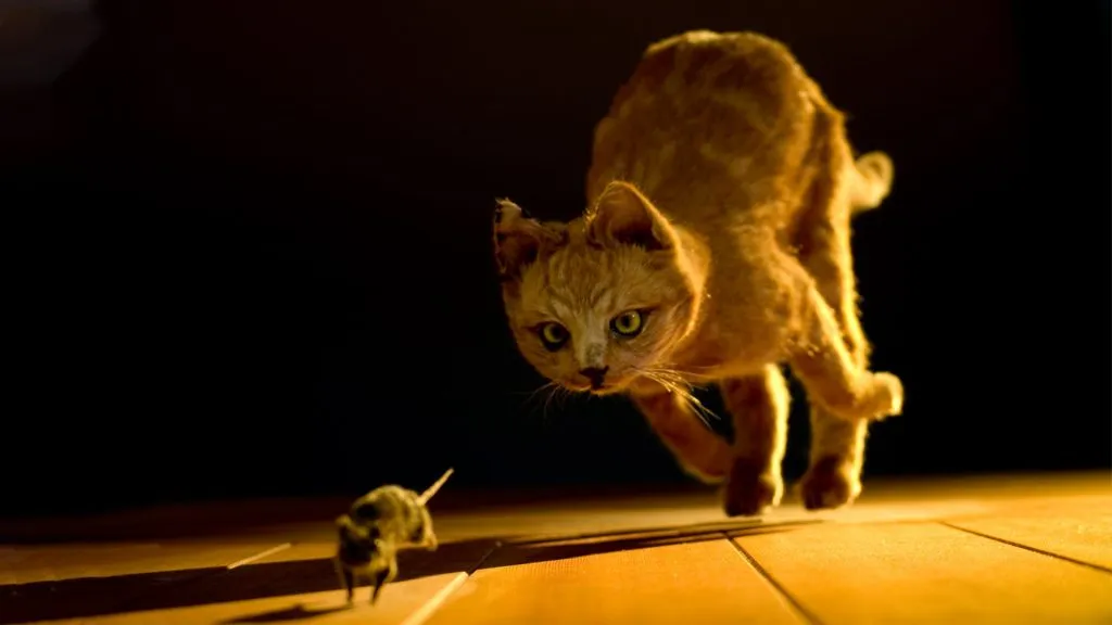 A house cat chasing a mice at night